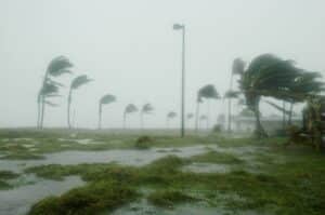 hurricane idalia in florida
